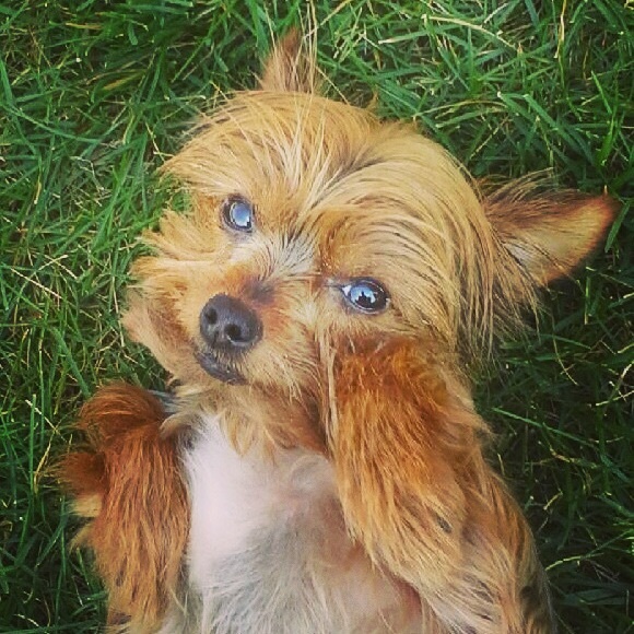 Meet your Posher, Evan - Picture 3 of 4